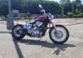 IMG-20240507-WA0051