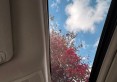 IMG-20250515-WA0088