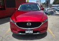 IMG-20251016-WA0342