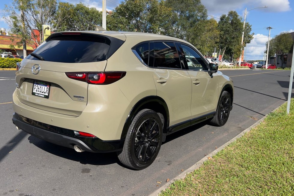 IMG-20251126-WA0003(1)