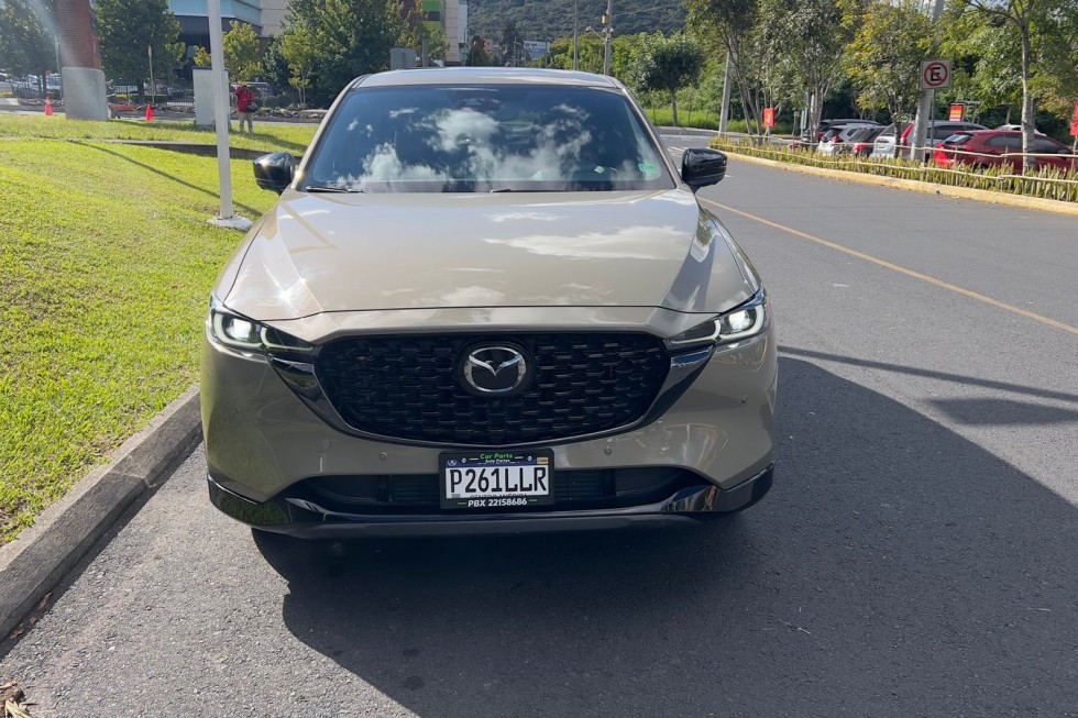 IMG-20251126-WA0004(1)