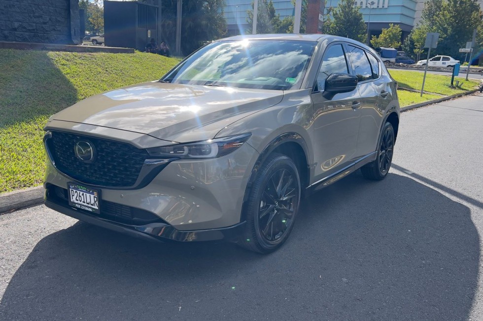 IMG-20251126-WA0005(1)