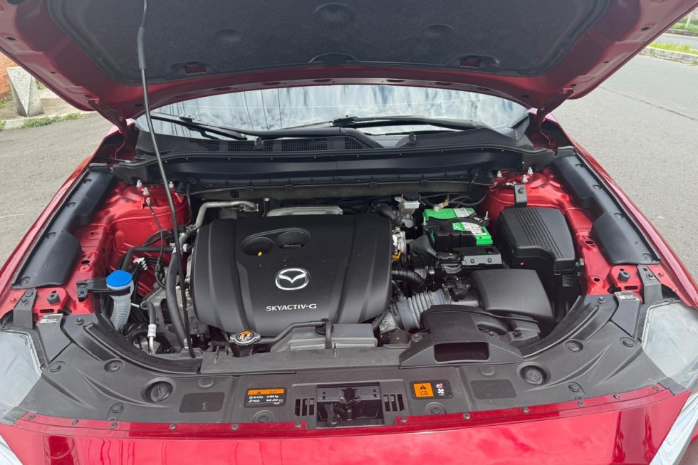 WhatsApp Image 2025-12-22 at 8.03.52 PM