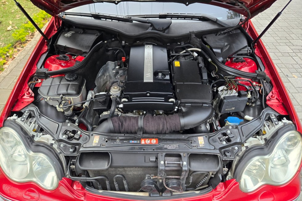 WhatsApp Image 2025-03-18 at 4.45.14 PM (1)