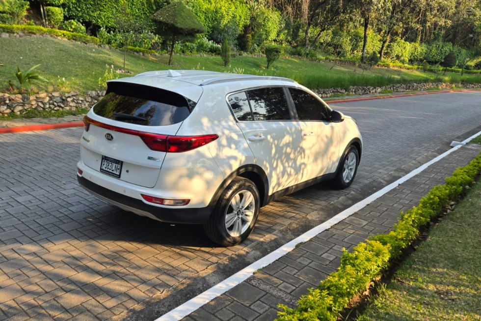 WhatsApp Image 2026-01-13 at 4.57.53 PM