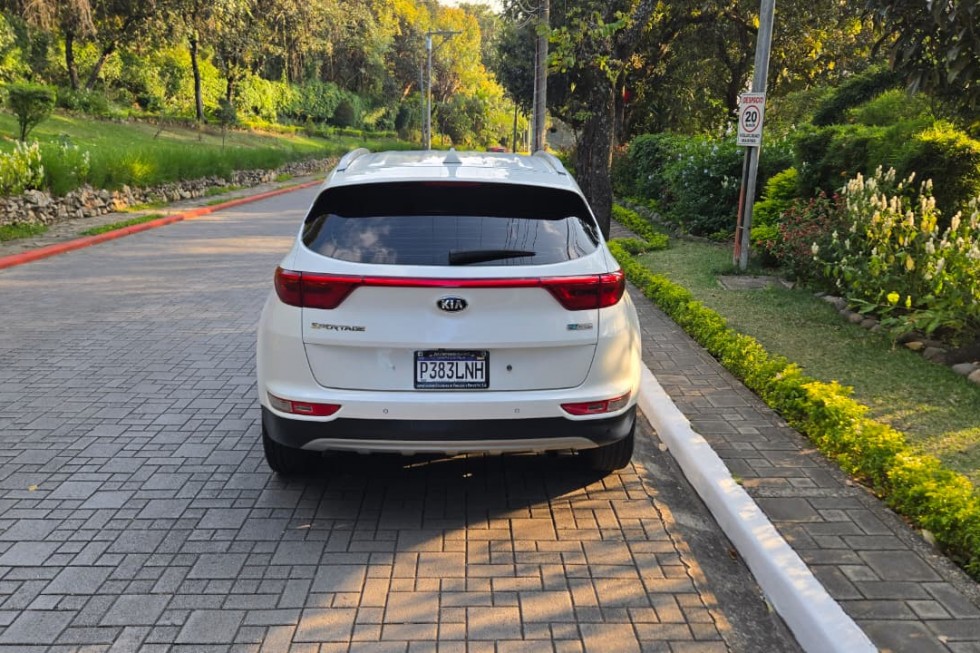 WhatsApp Image 2026-01-13 at 4.57.54 PM