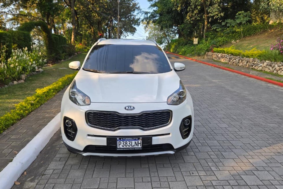 WhatsApp Image 2026-01-13 at 4.57.50 PM (1)