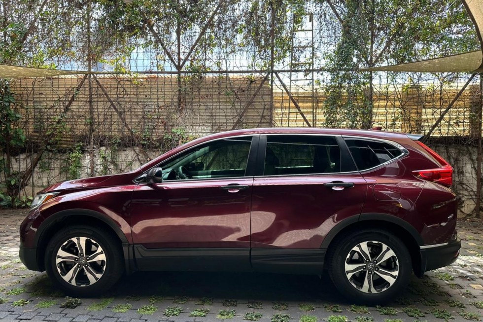 WhatsApp Image 2026-01-08 at 13.17.46