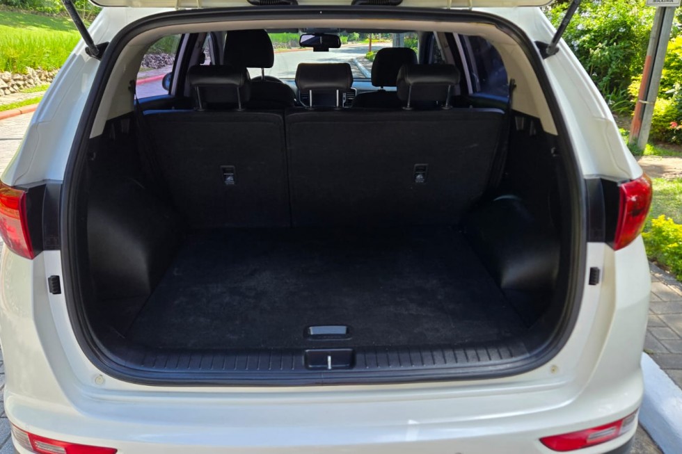 WhatsApp Image 2026-01-13 at 4.57.54 PM (1)