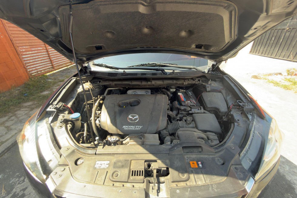 WhatsApp Image 2026-01-25 at 11.46.22 AM (7)