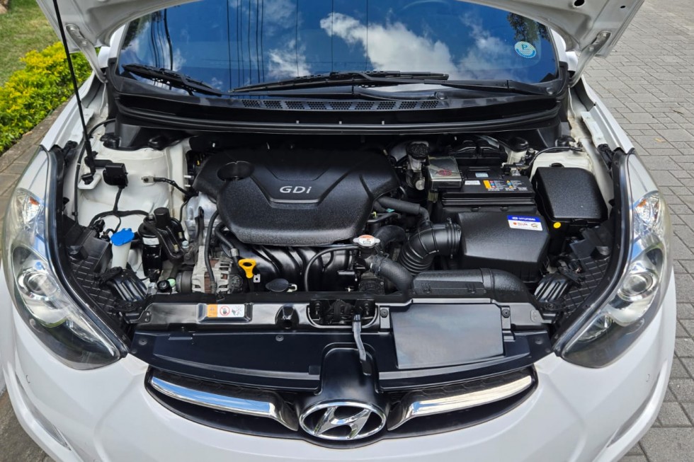 WhatsApp Image 2026-01-13 at 4.56.38 PM