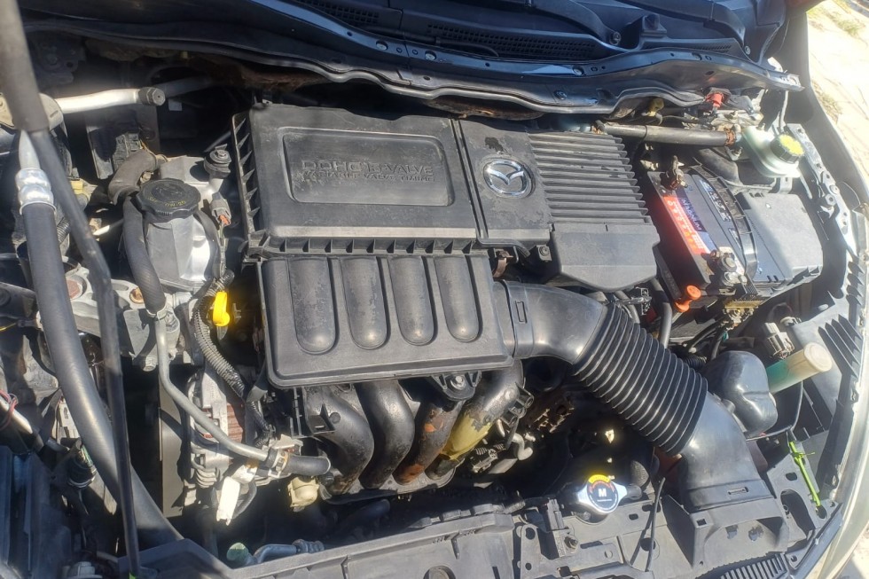 WhatsApp Image 2026-02-06 at 12.15.31 PM