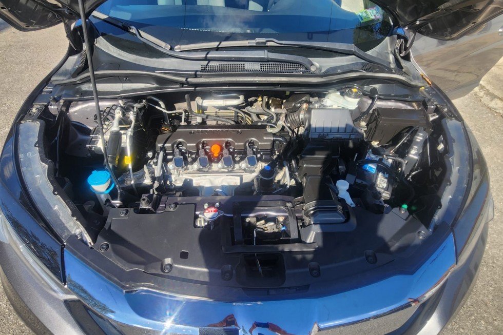 WhatsApp Image 2026-02-10 at 3.35.45 PM(1)