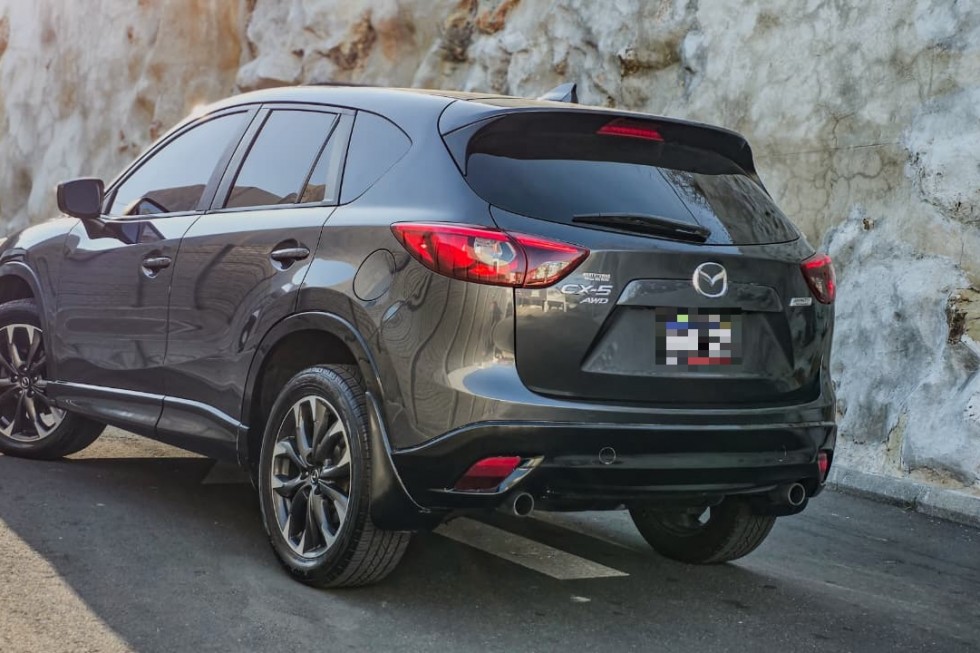 WhatsApp Image 2026-02-13 at 4.09.57 PM(1)