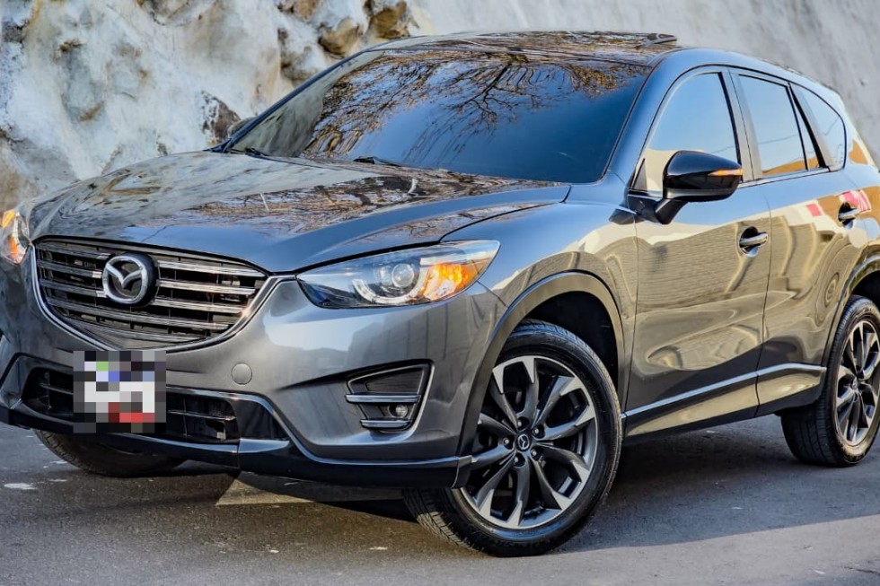 WhatsApp Image 2026-02-13 at 4.09.58 PM