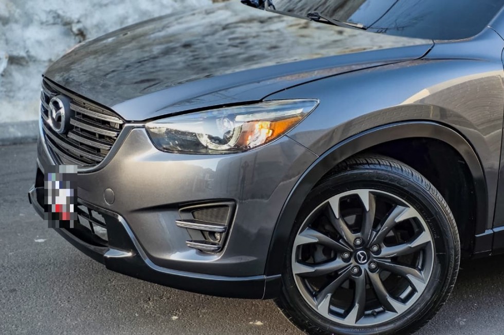 WhatsApp Image 2026-02-13 at 4.09.58 PM(1)