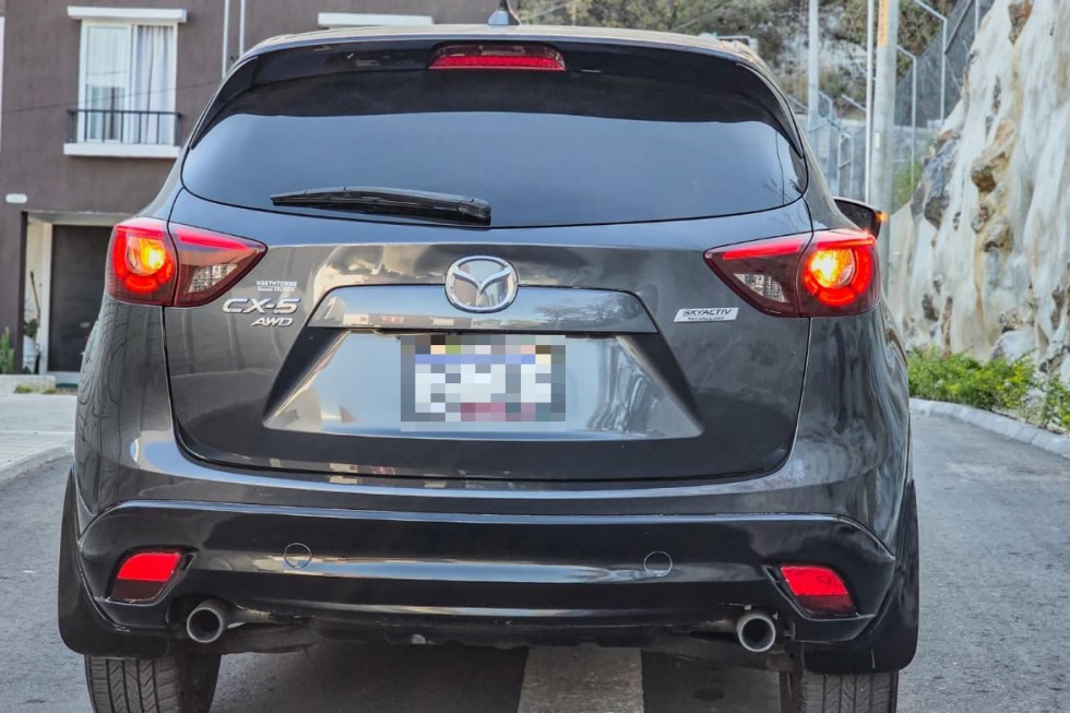 WhatsApp Image 2026-02-13 at 4.09.58 PM(2)