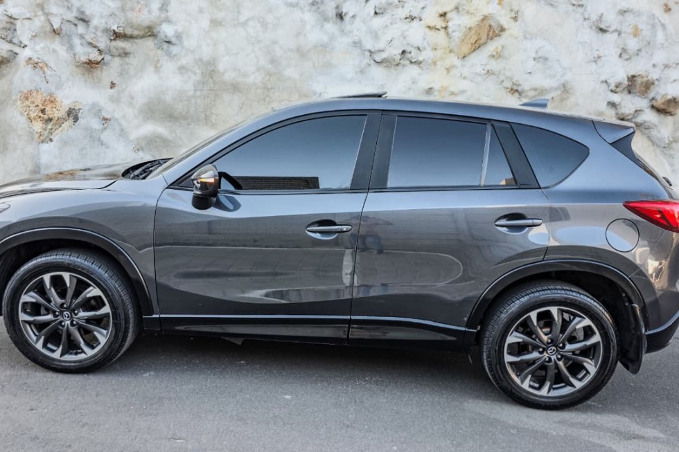 WhatsApp Image 2026-02-13 at 4.09.58 PM(4)