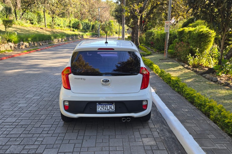 WhatsApp Image 2026-02-06 at 12.30.17 PM (4)