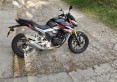 IMG-20260610-WA0009