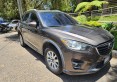 IMG-20260820-WA0017