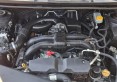 IMG-20260706-WA0022
